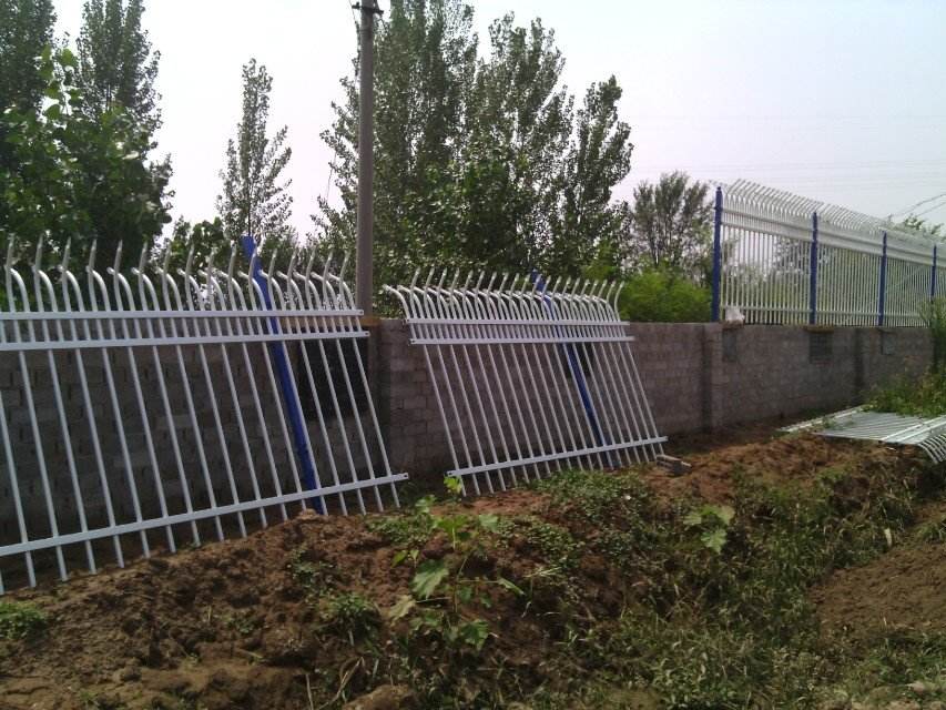 伊犁高速公路護欄網(wǎng)